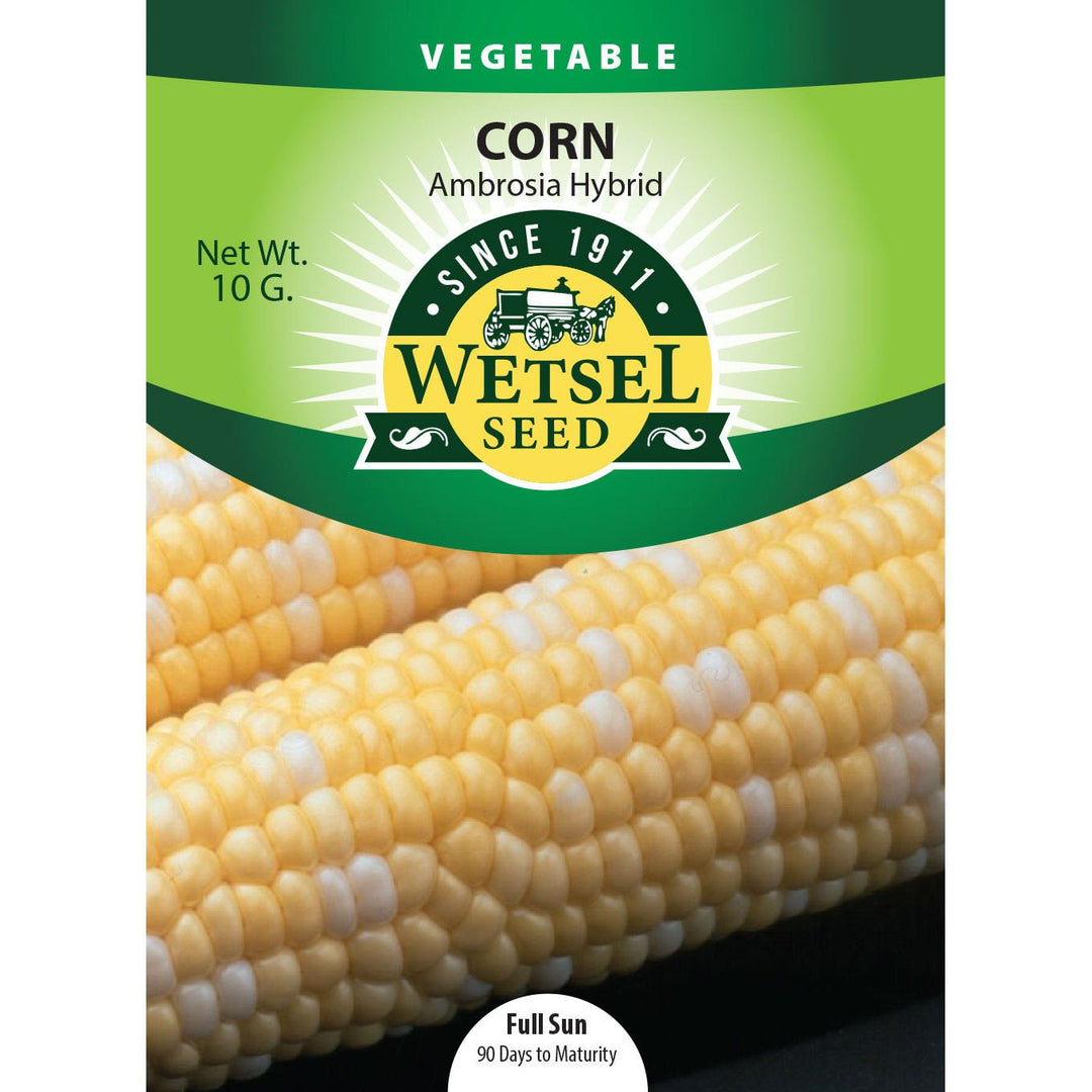Wetsel Seed™ Hybrid Ambrosia Corn Seed - Greenhouse Megastore