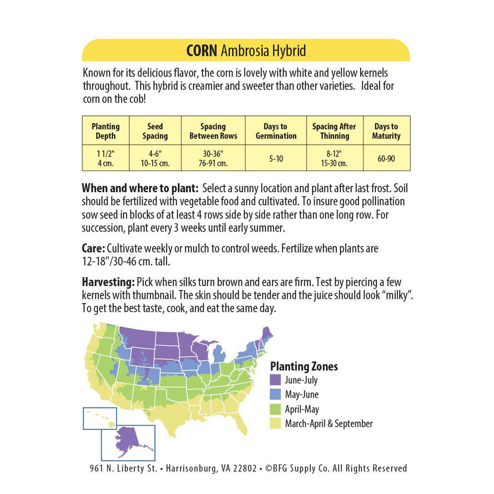 Wetsel Seed™ Hybrid Ambrosia Corn Seed - Greenhouse Megastore