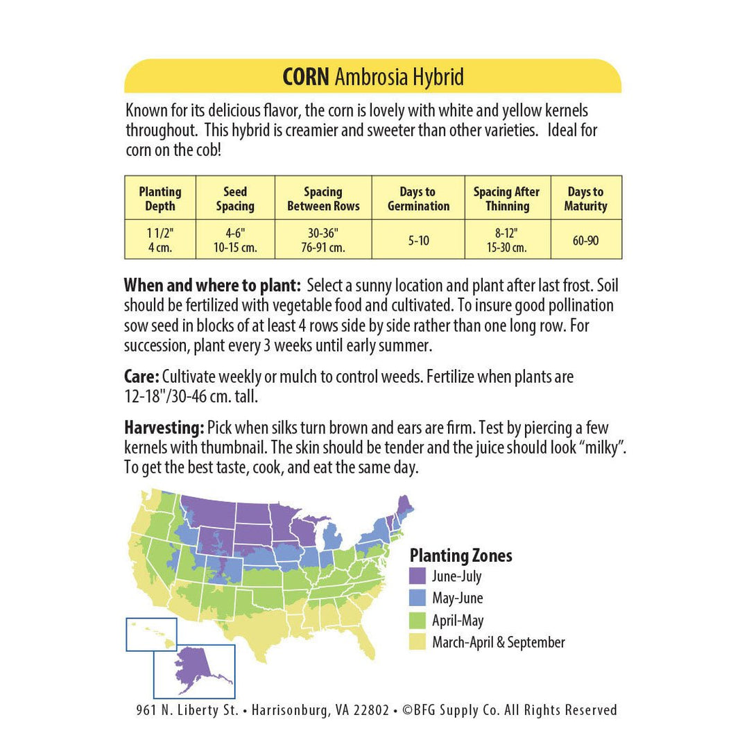 Wetsel Seed™ Hybrid Ambrosia Corn Seed - Greenhouse Megastore