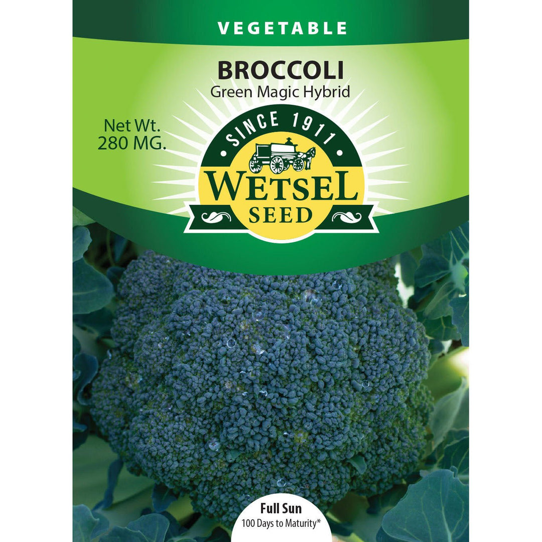 Wetsel Seed™ Hybrid Green Magic Broccoli Seed - Greenhouse Megastore