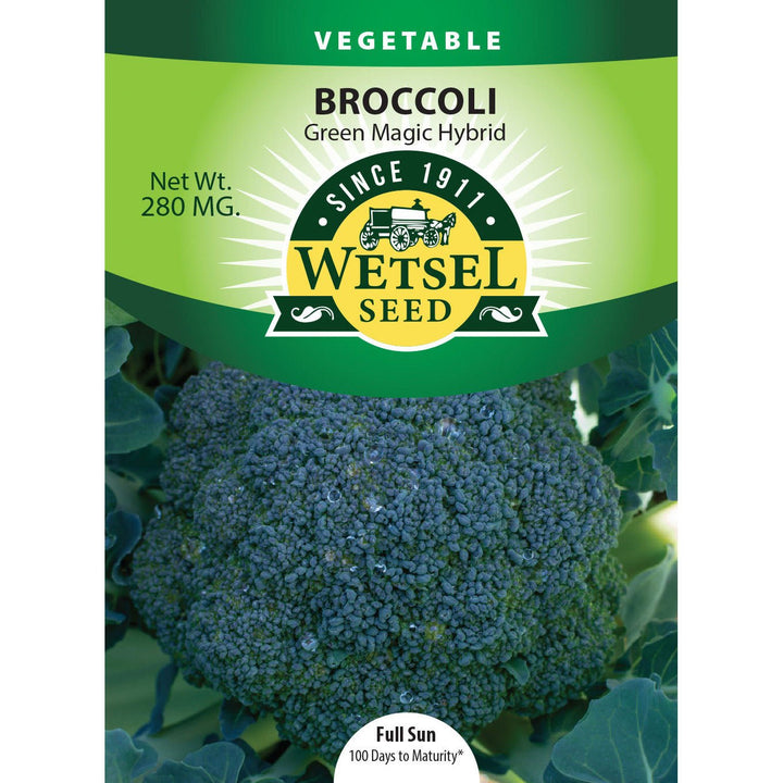 Wetsel Seed™ Hybrid Green Magic Broccoli Seed - Greenhouse Megastore