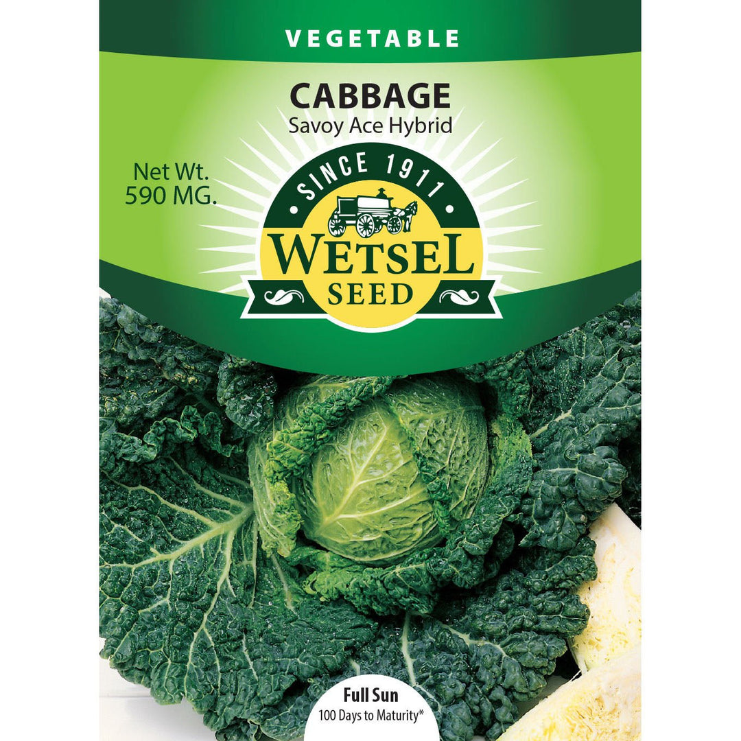Wetsel Seed™ Hybrid Savoy Ace Cabbage Seed - Greenhouse Megastore