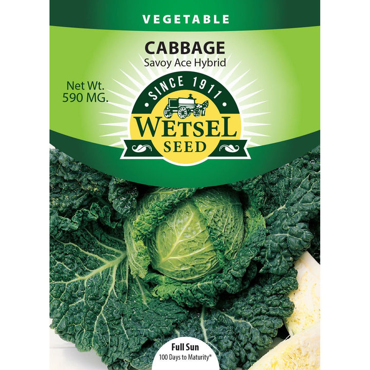 Wetsel Seed™ Hybrid Savoy Ace Cabbage Seed - Greenhouse Megastore