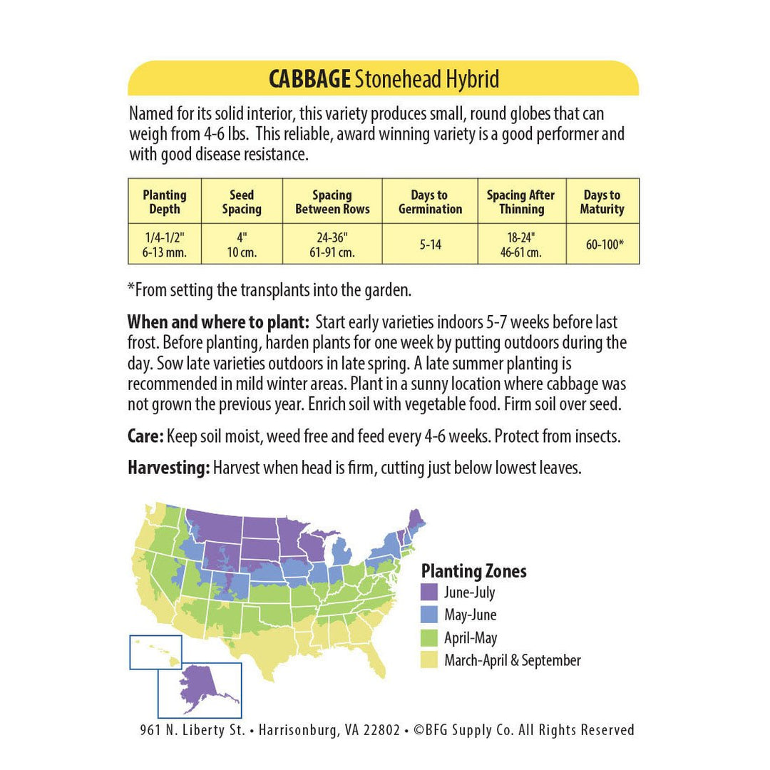 Wetsel Seed™ Hybrid Stonehead Cabbage Seed - Greenhouse Megastore