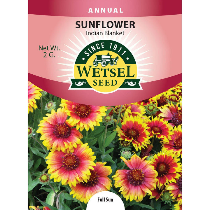 Wetsel Seed™ Indian Blanket Sunflower Seed - Greenhouse Megastore