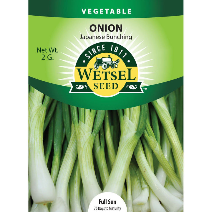 Wetsel Seed™ Japanese Bunching Onion Seed - Greenhouse Megastore