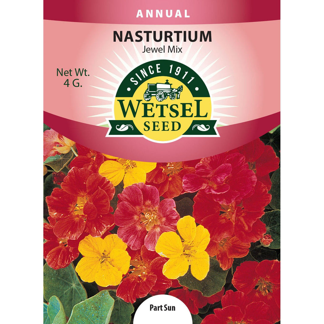 nasturtium seeds from plants Wetsel Seed Jewel Mix Nasturtium Seed