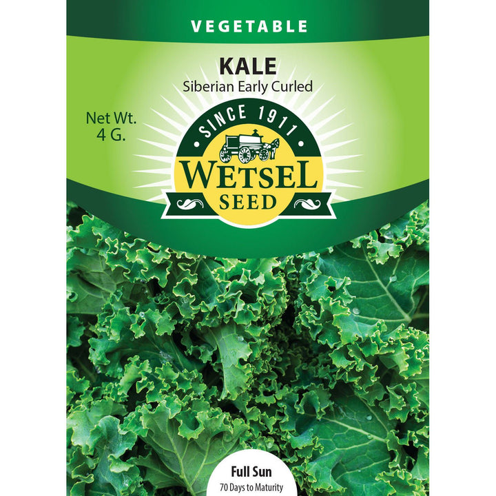 Wetsel Seed™ Kale Early Curled Siberian Seed - Greenhouse Megastore