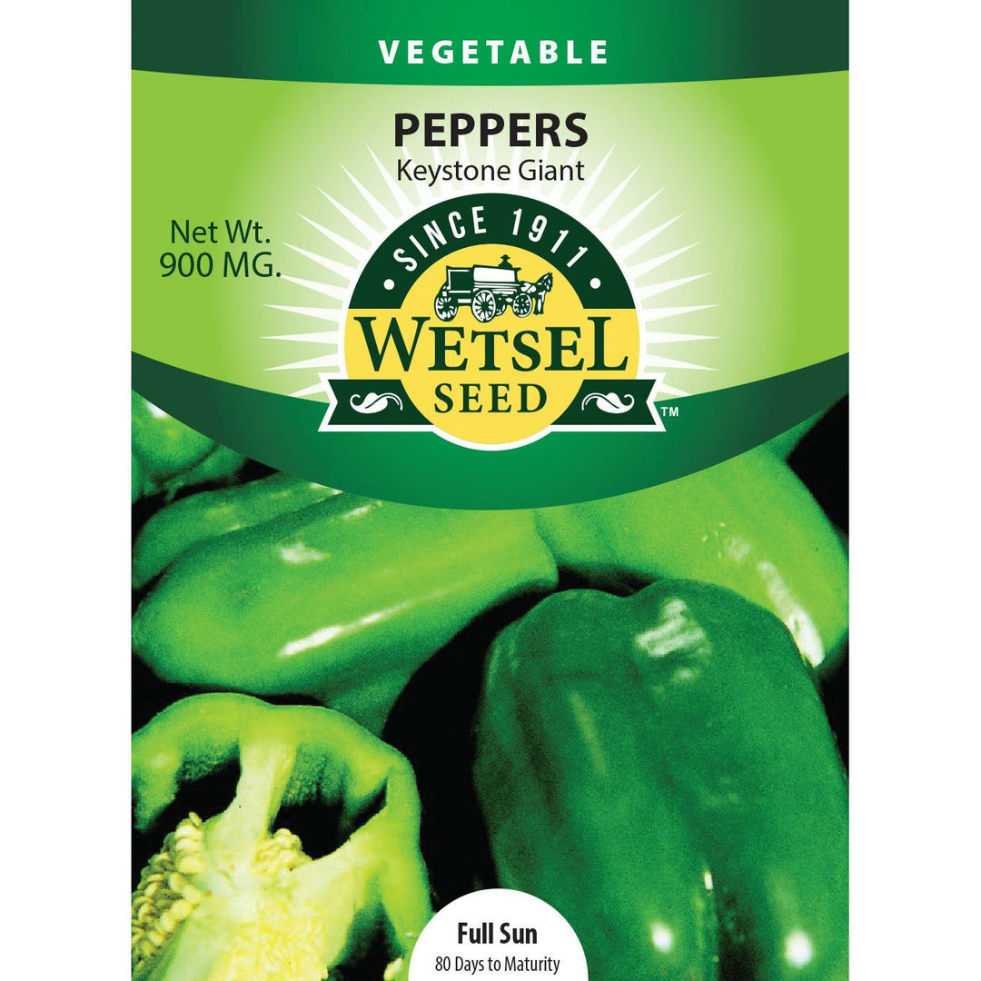 plant bell pepper seeds Wetsel Seed Keystone Resistant Giant #3 Pepper Seed
