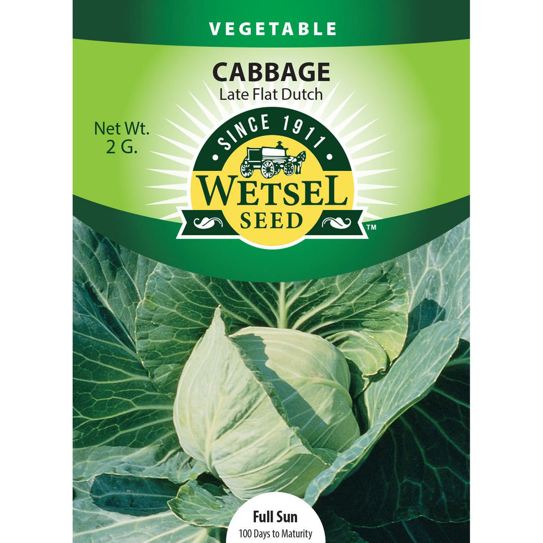 Wetsel Seed™ Late Flat Dutch Cabbage Seed - Greenhouse Megastore