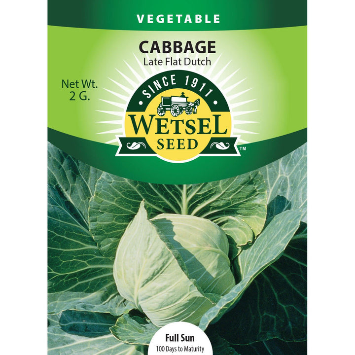 Wetsel Seed™ Late Flat Dutch Cabbage Seed - Greenhouse Megastore