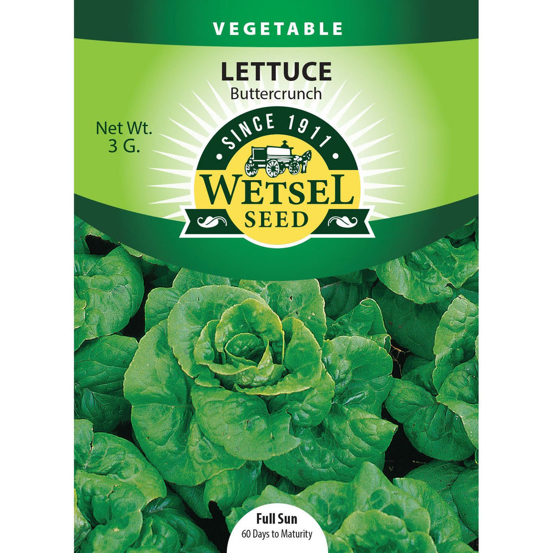 Wetsel Seed™ Lettuce Buttercrunch Seed - Greenhouse Megastore