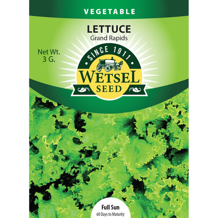 Wetsel Seed™ Lettuce Grand Rapids Seed - Greenhouse Megastore