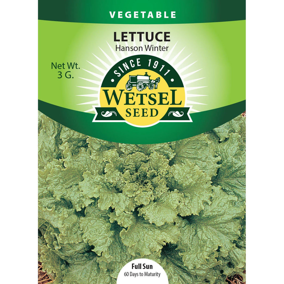 Wetsel Seed™ Lettuce Hanson Improved Seed - Greenhouse Megastore