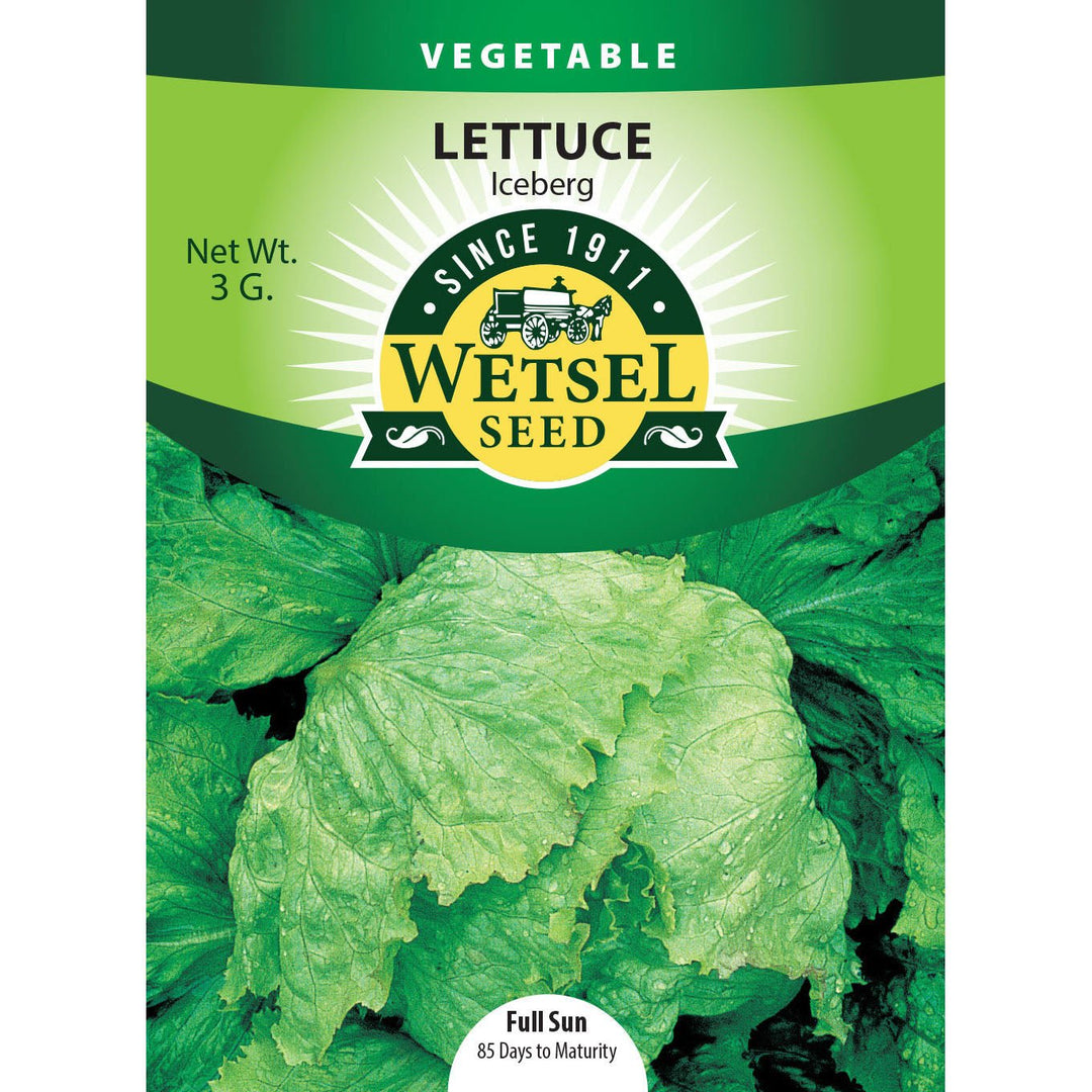 Wetsel Seed™ Lettuce Iceberg Seed - Greenhouse Megastore