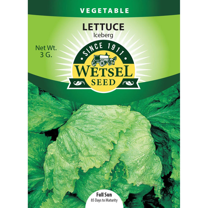 Wetsel Seed™ Lettuce Iceberg Seed - Greenhouse Megastore