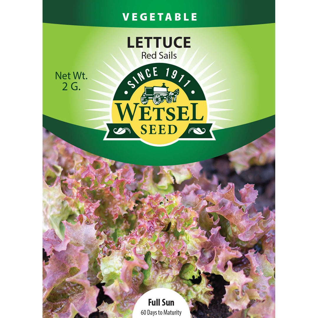 Wetsel Seed™ Lettuce Red Sails Seed - Greenhouse Megastore