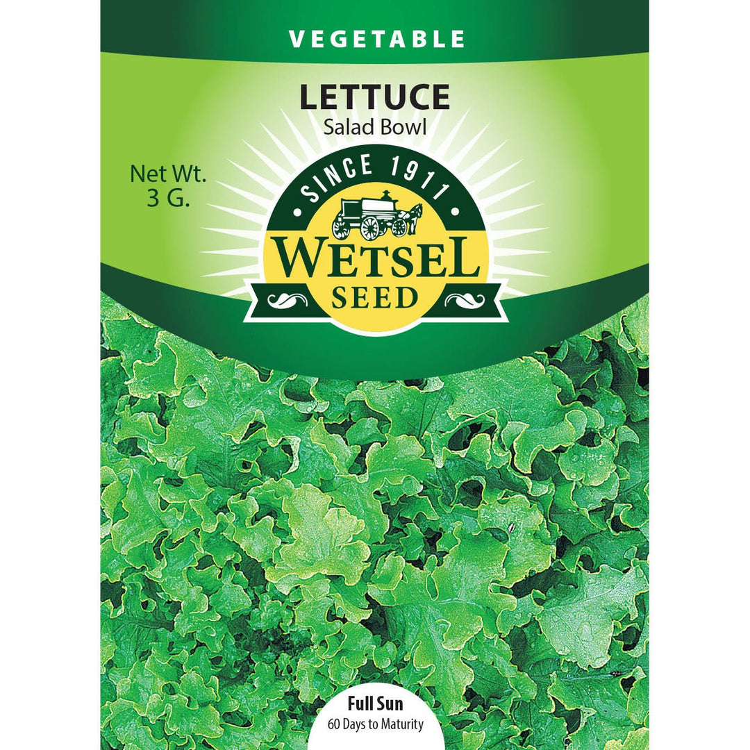 Wetsel Seed™ Lettuce Salad Bowl Seed - Greenhouse Megastore