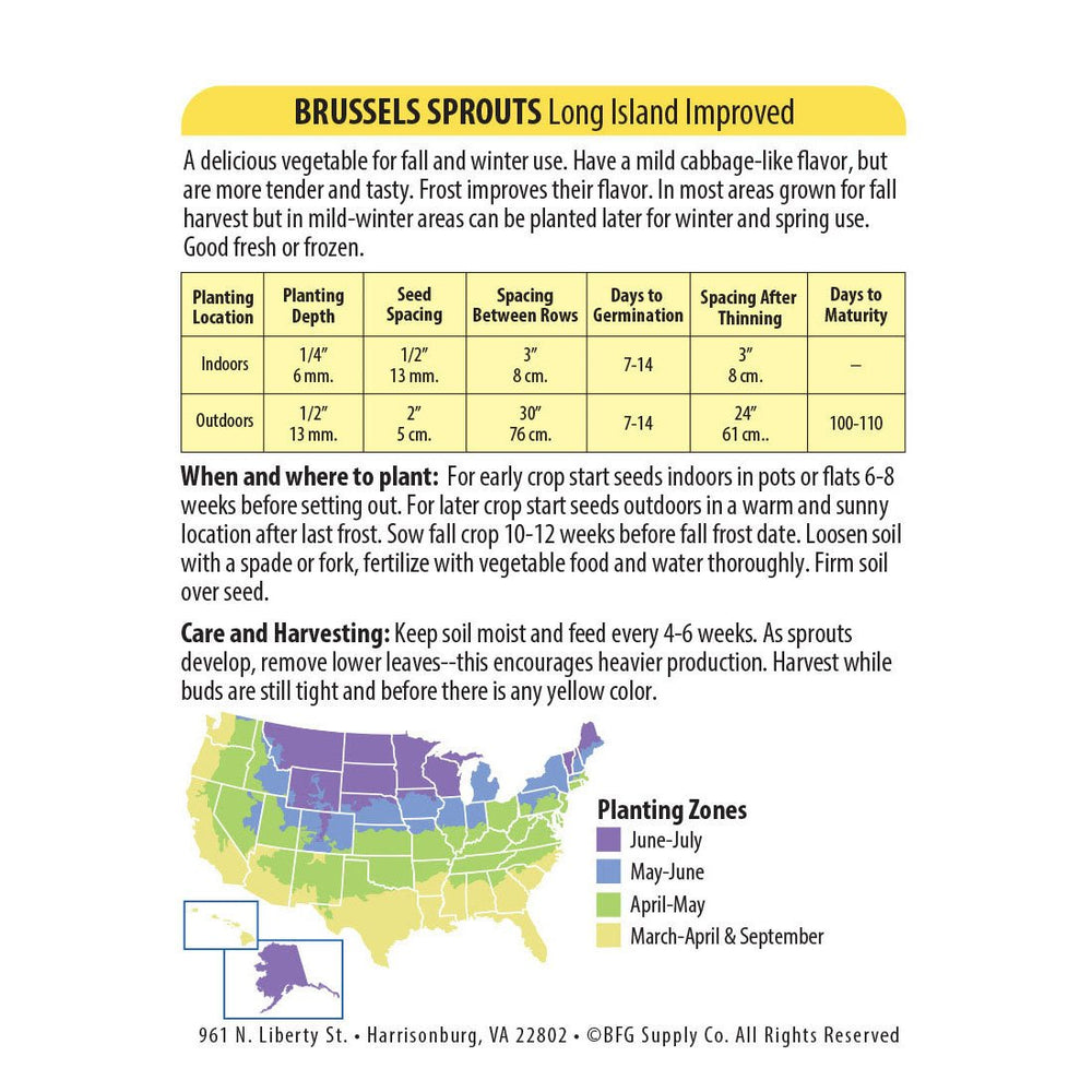 Wetsel Seed™ Long Island Improved Brussel Sprouts Seed - Greenhouse Megastore