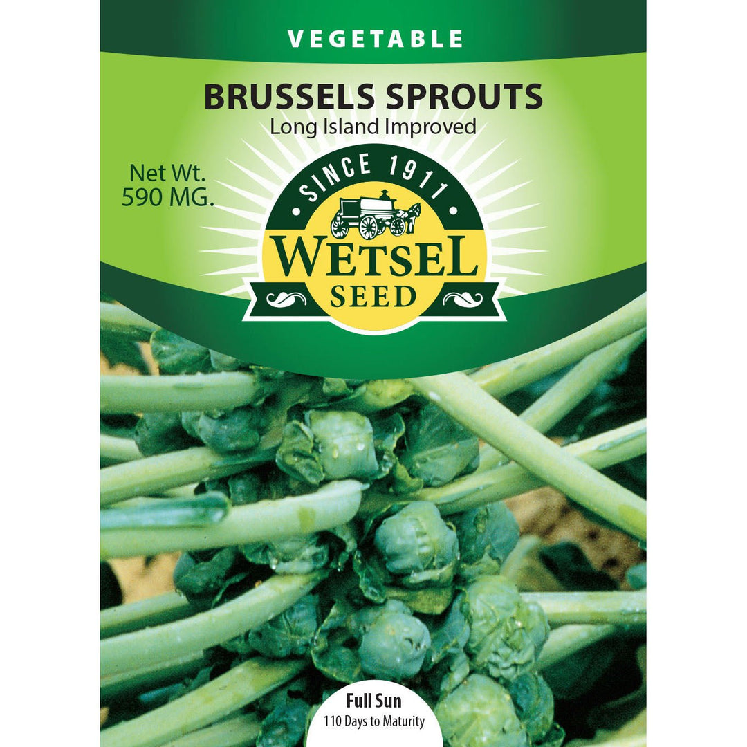 Wetsel Seed™ Long Island Improved Brussel Sprouts Seed - Greenhouse Megastore