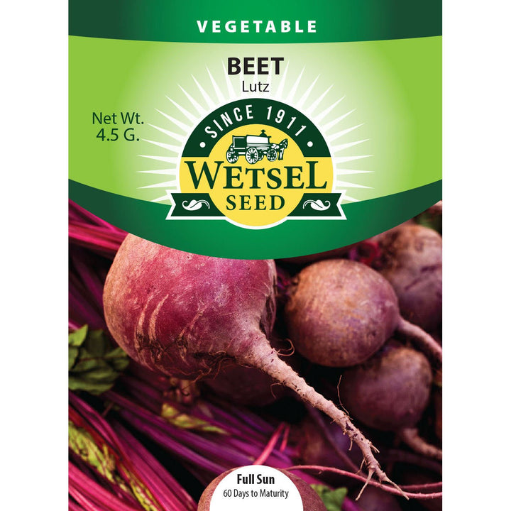 Wetsel Seed™ Lutz Beet Seed - Greenhouse Megastore