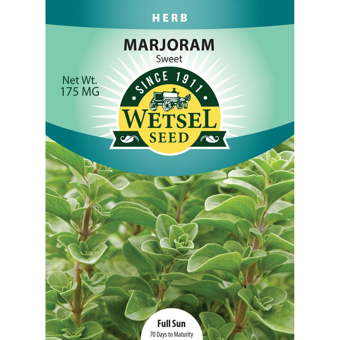 Wetsel Seed™ Marjoram Sweet Seed - Greenhouse Megastore