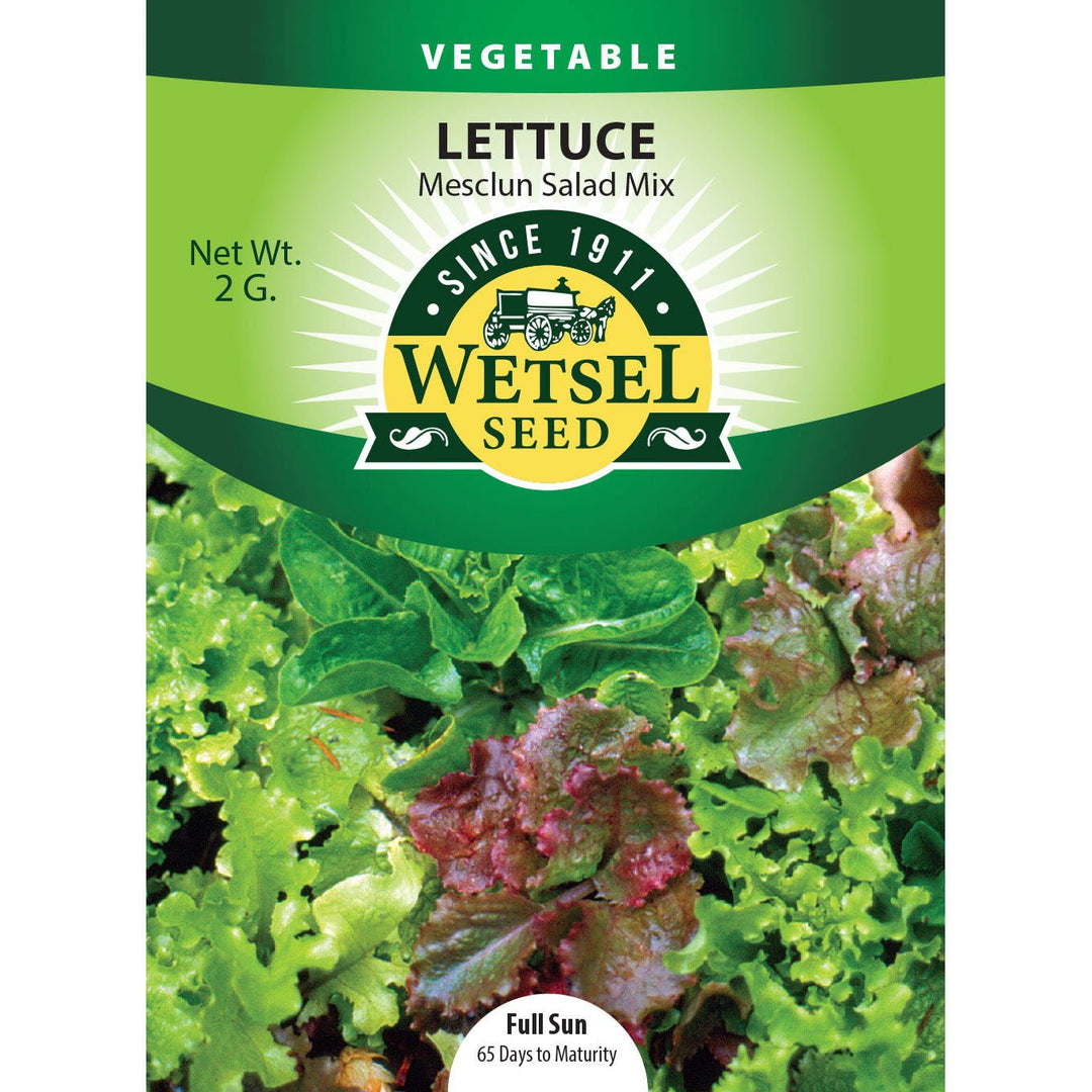 Wetsel Seed™ Mesclun Salad Mix Lettuce Seed - Greenhouse Megastore