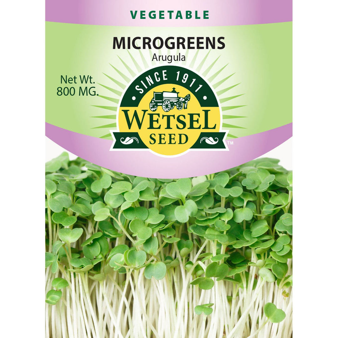 Wetsel Seed™ Microgreens Arugula Seed - Greenhouse Megastore