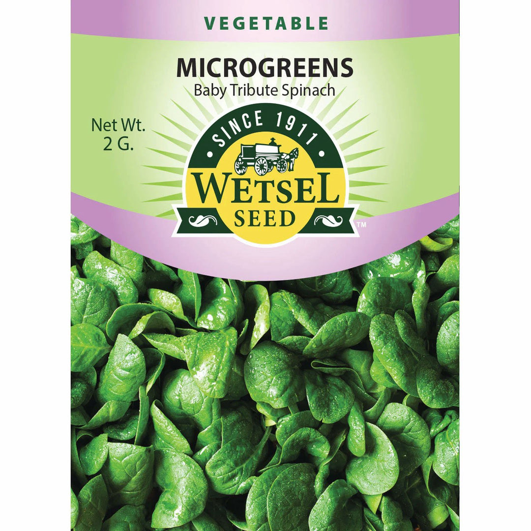 Wetsel Seed™ Microgreens Baby Tribute Spinach Seed - Greenhouse Megastore