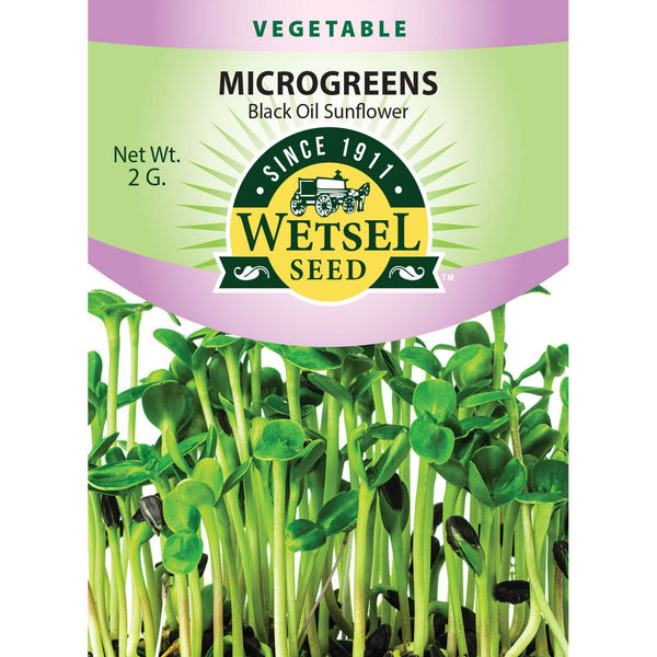 where to buy black oil sunflower seeds for planting Wetsel Seed Microgreens Black Oil Sunflower Seed Packet