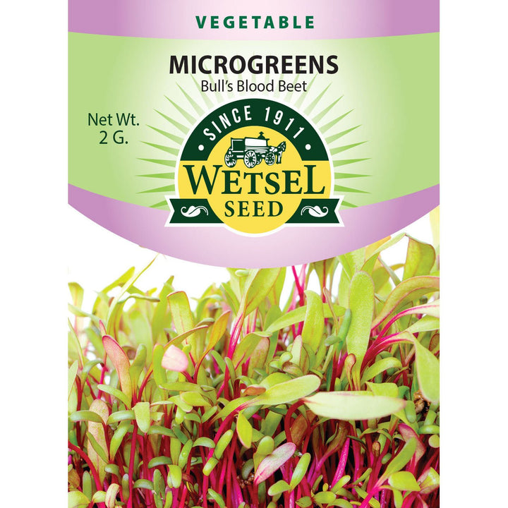 Wetsel Seed™ Microgreens Bull's Blood Beet Seed - Greenhouse Megastore
