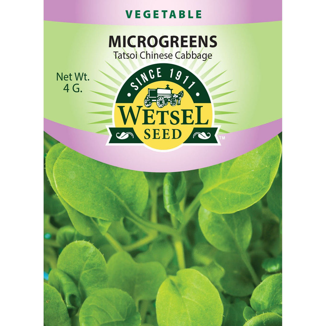 Wetsel Seed™ Microgreens Chinese Tatsoi Cabbage Seed - Greenhouse Megastore
