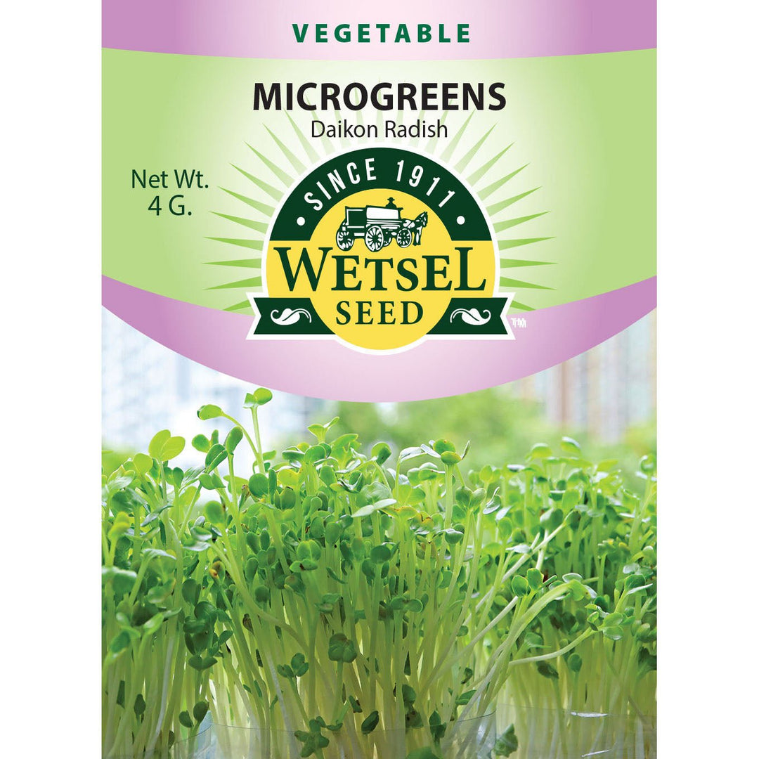 Wetsel Seed™ Microgreens Daikon Radish Seed - Greenhouse Megastore