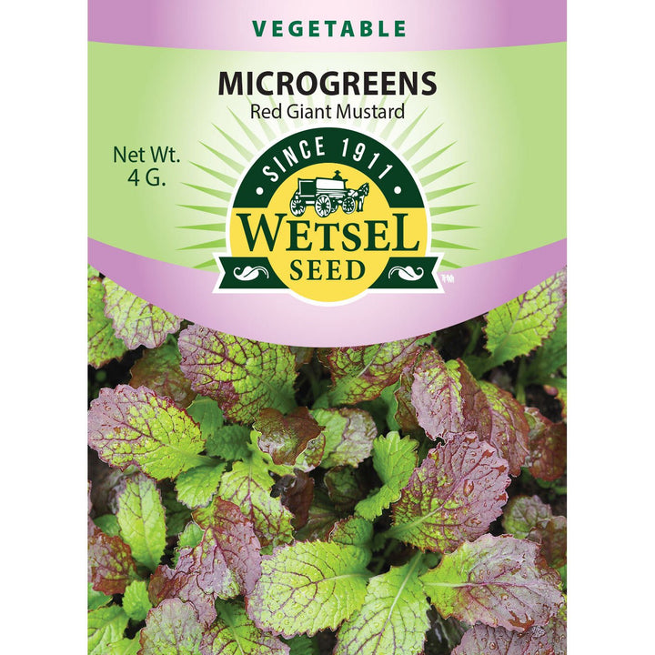 Wetsel Seed™ Microgreens Red Giant Mustard Seed - Greenhouse Megastore
