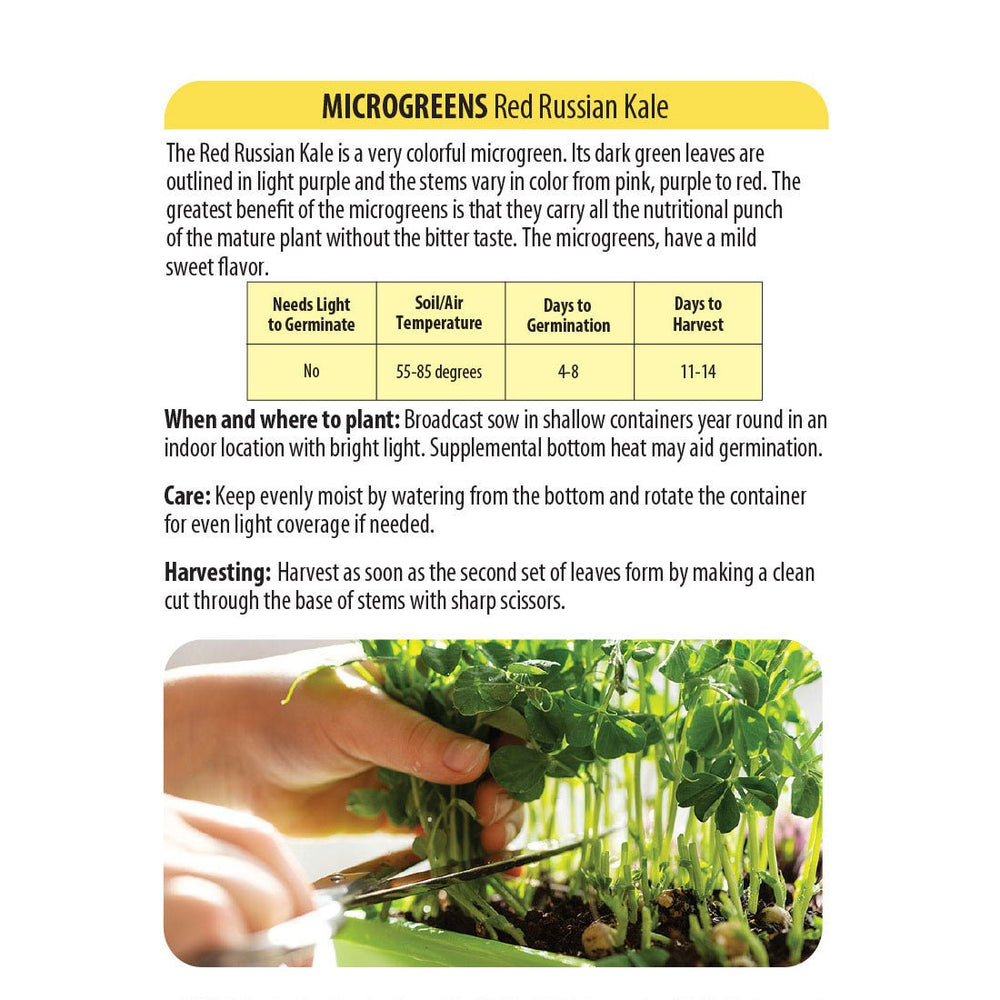 Wetsel Seed™ Microgreens Red Russian Kale Seed - Greenhouse Megastore