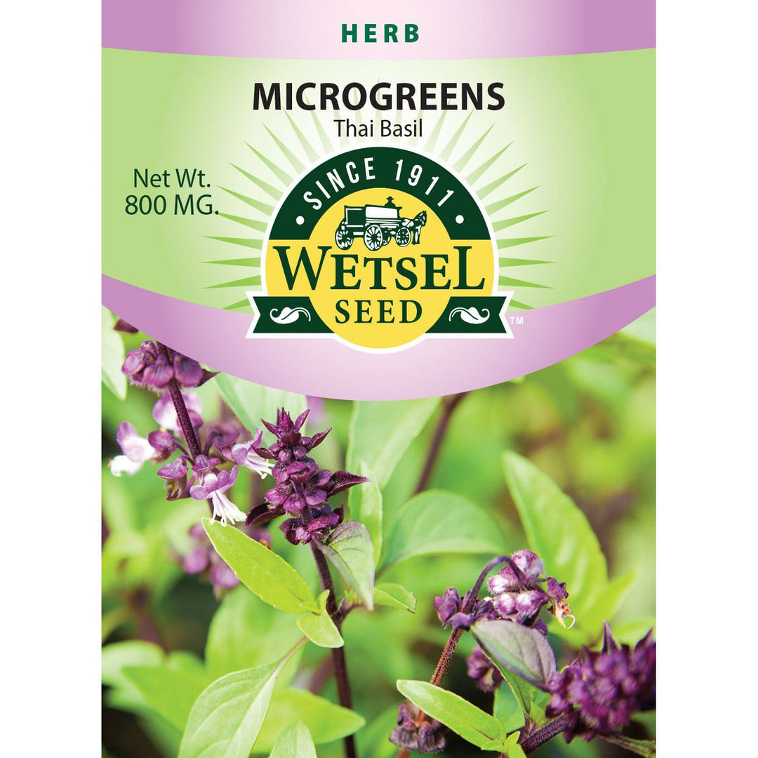 Wetsel Seed™ Microgreens Thai Basil Seed - Greenhouse Megastore
