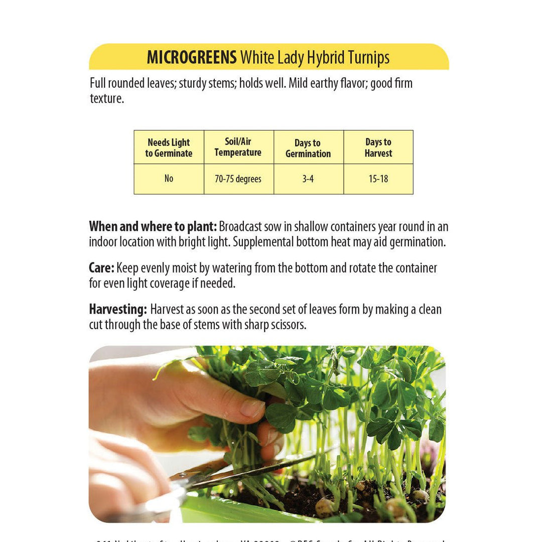 Wetsel Seed™ Microgreens White Lady Hybrid Turnip Seed - Greenhouse Megastore