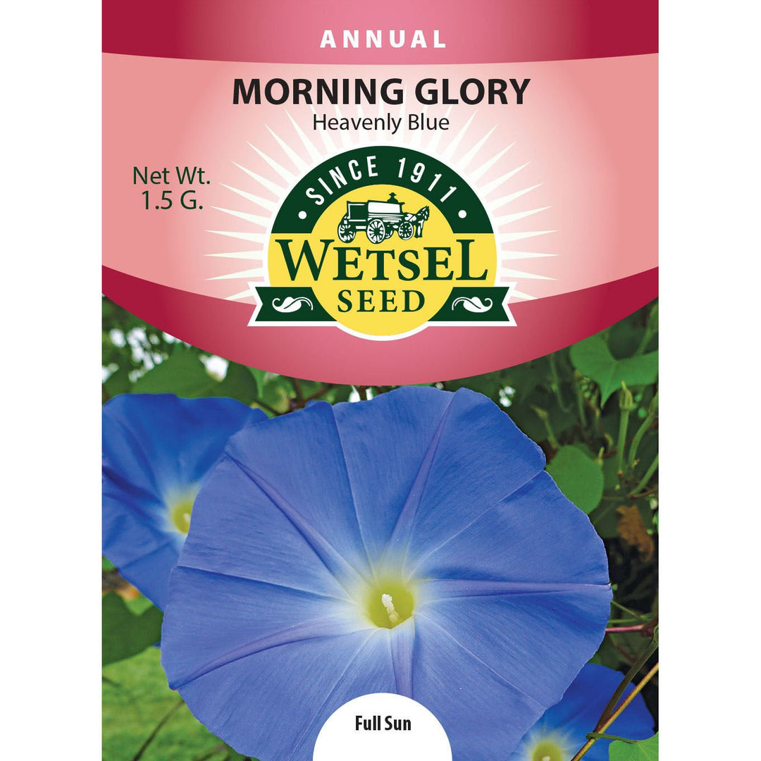 Wetsel Seed™ Morning Glory Heavenly Blue Seed - Greenhouse Megastore