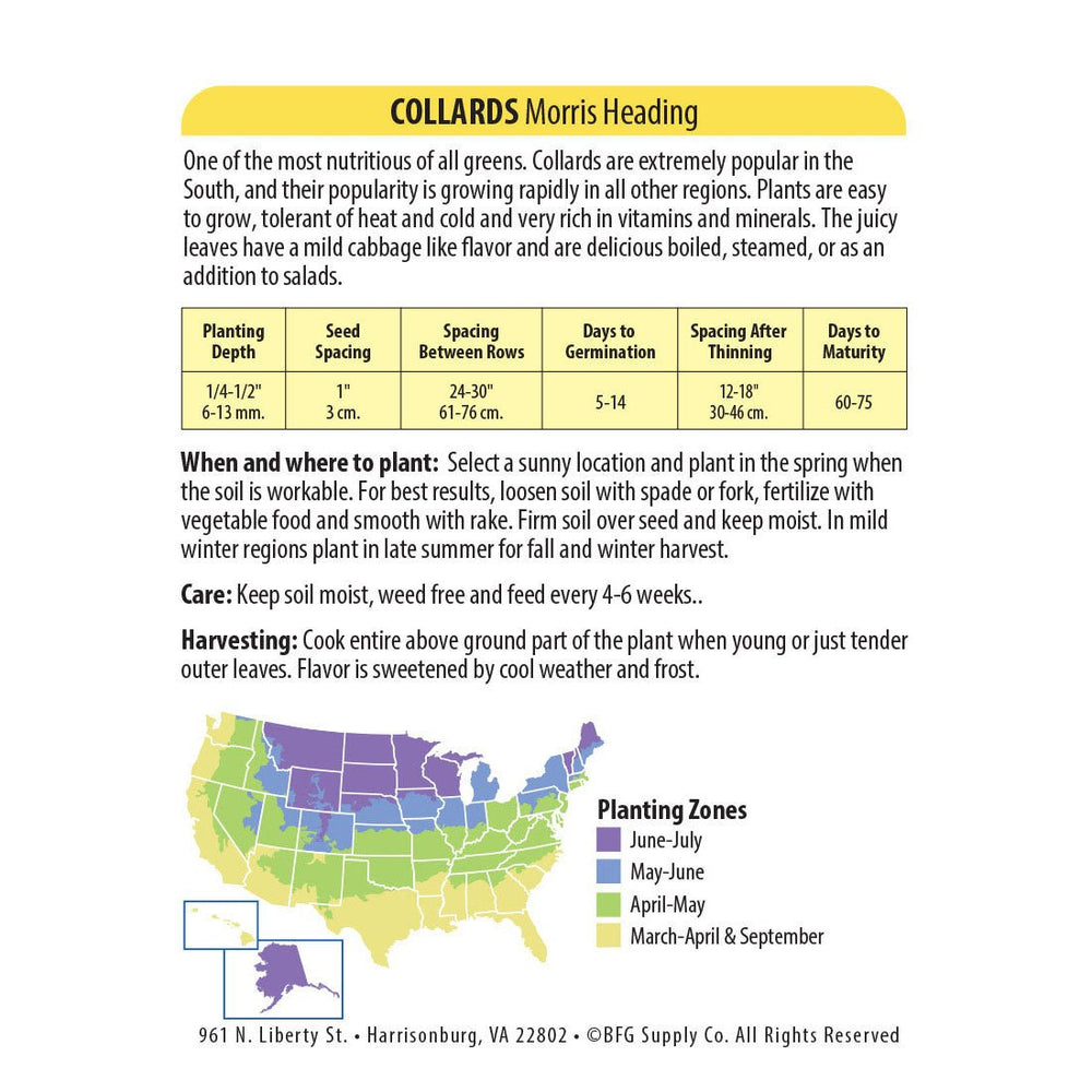 Wetsel Seed™ Morris Heading Collards Seed - Greenhouse Megastore