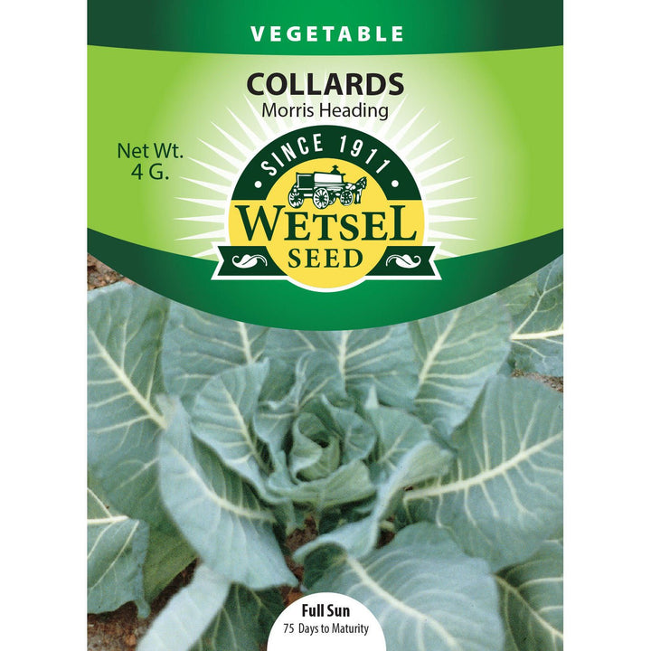 Wetsel Seed™ Morris Heading Collards Seed - Greenhouse Megastore