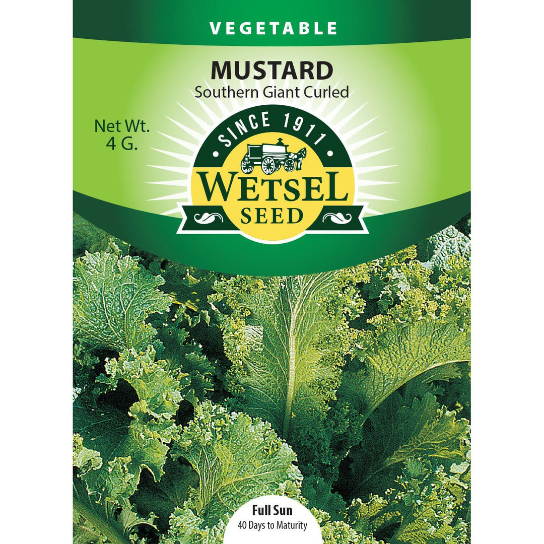 Wetsel Seed™ Mustard Southern Giant Curled Seed - Greenhouse Megastore