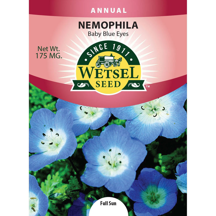 Wetsel Seed™ Nemophila Baby Blue Eyes Seed - Greenhouse Megastore