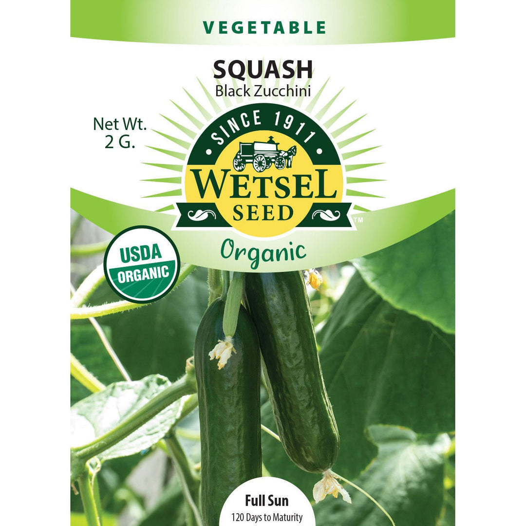 Wetsel Seed™ Organic Black Zucchini Squash Seed - Greenhouse Megastore