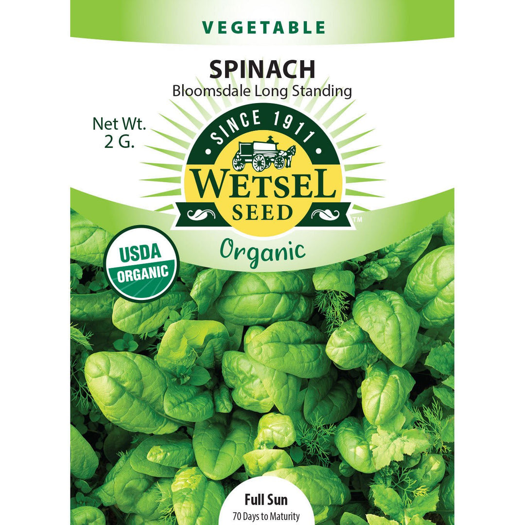Wetsel Seed™ Organic Bloomsdale Long Standing Spinach Seed - Greenhouse Megastore
