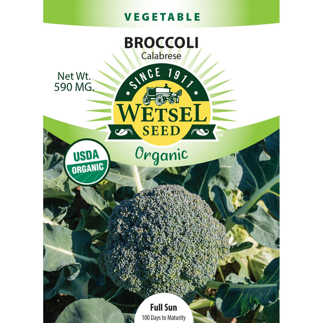 Wetsel Seed™ Organic Calabrese Broccoli Seed - Greenhouse Megastore