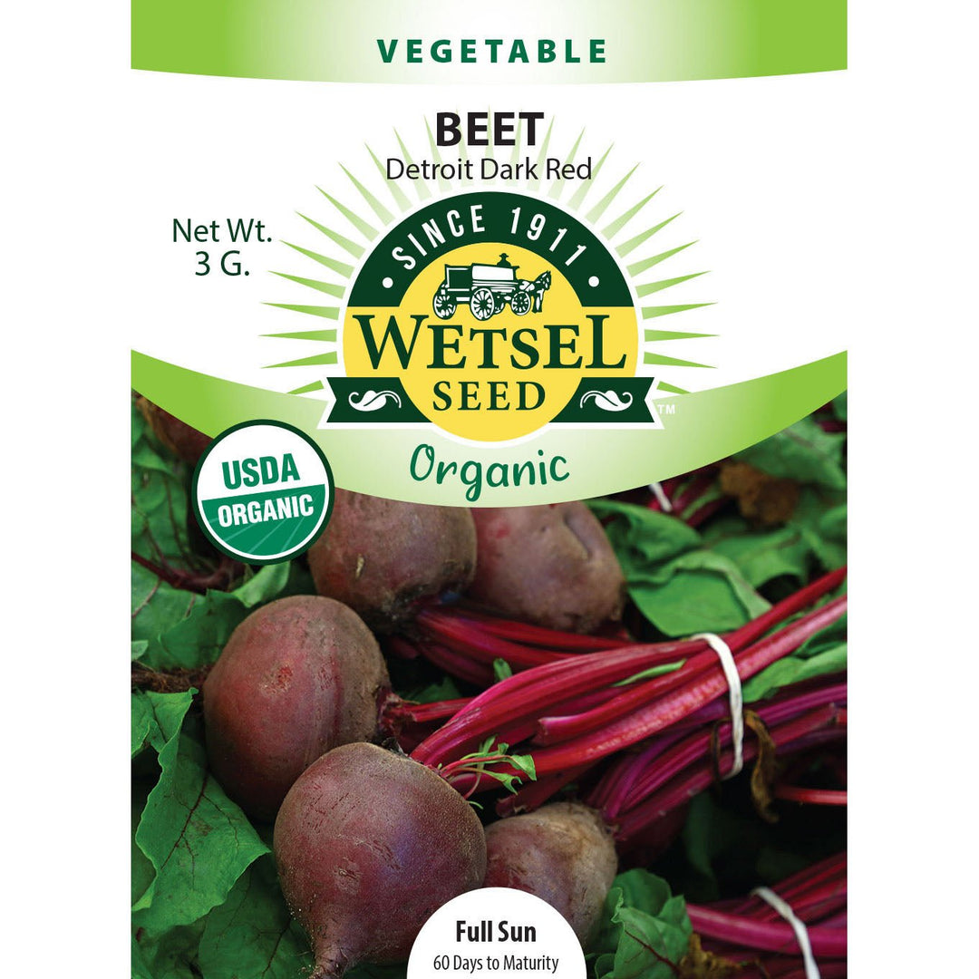 Wetsel Seed™ Organic Detroit Dark Red Beet Seed - Greenhouse Megastore