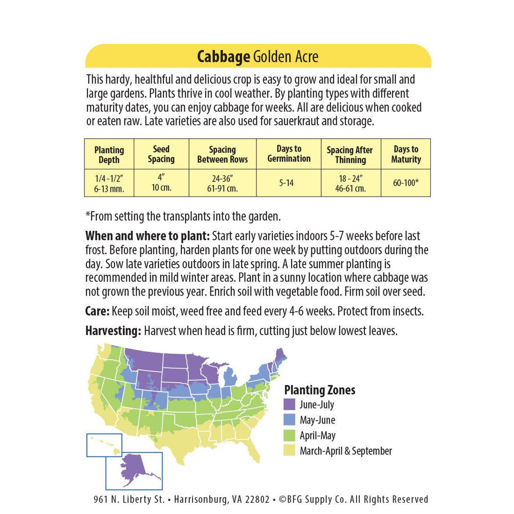 Wetsel Seed™ Organic Golden Acre Cabbage Seed - Greenhouse Megastore