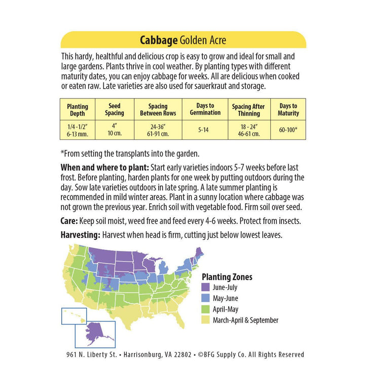 Wetsel Seed™ Organic Golden Acre Cabbage Seed - Greenhouse Megastore