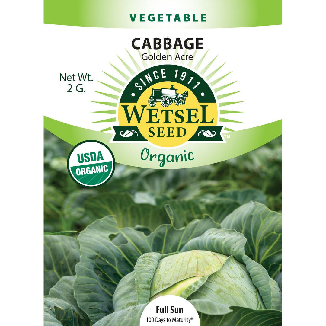 Wetsel Seed™ Organic Golden Acre Cabbage Seed - Greenhouse Megastore