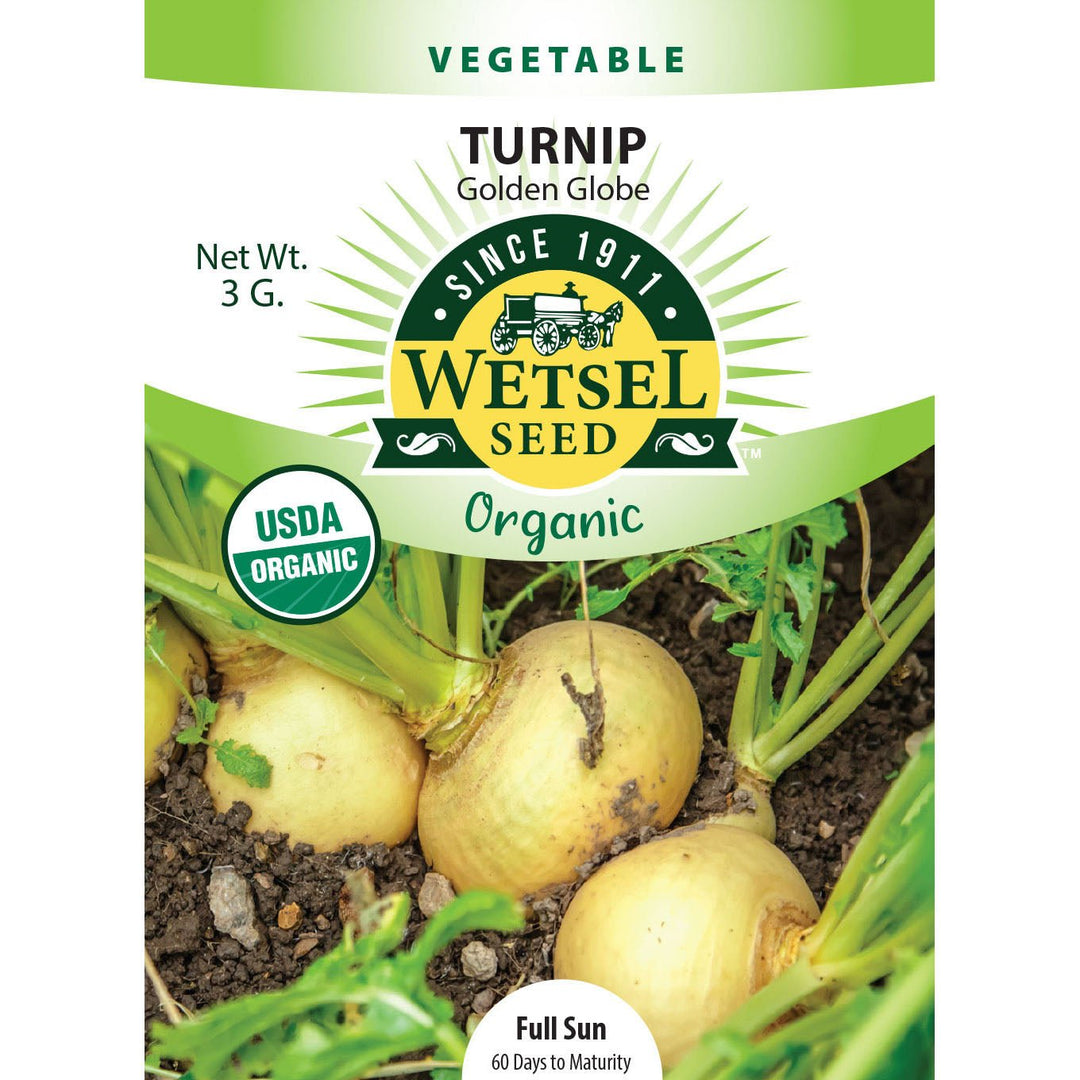 Wetsel Seed™ Organic Golden Globe Turnip Seed - Greenhouse Megastore